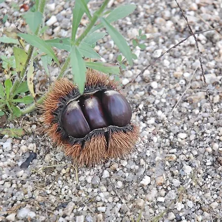 Casa Dos Becos Villa