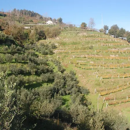 Casa Dos Becos Riba Douro