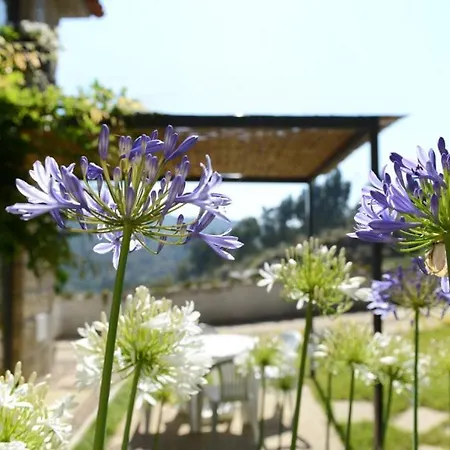 Βίλα Casa Dos Becos Ribadouro