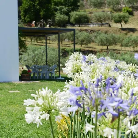 Casa Dos Becos Riba Douro