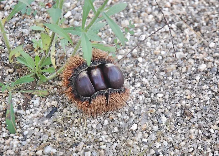 Casa Dos Becos Villa