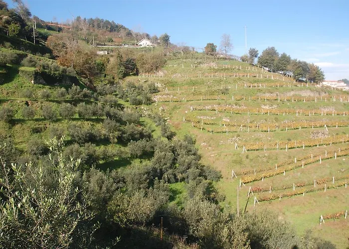 卡萨贝克斯别墅 里巴多鲁