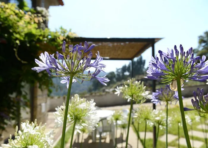 Villa Casa Dos Becos Ribadouro