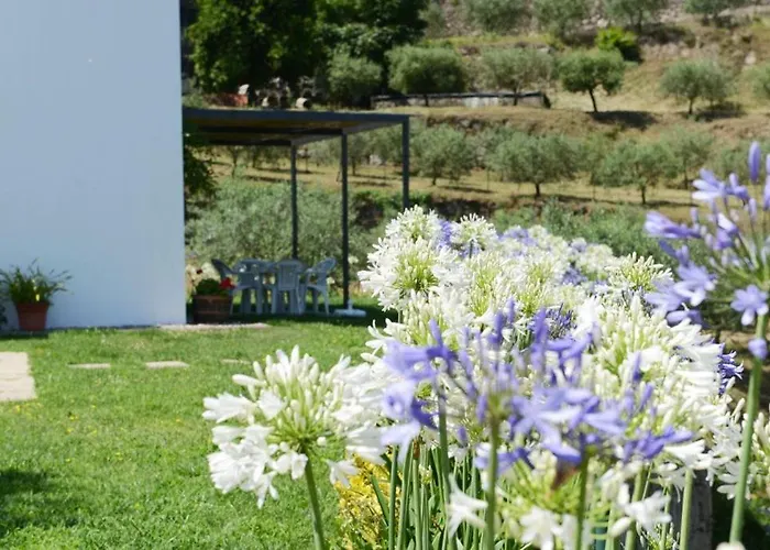 Casa Dos Becos Ribadouro